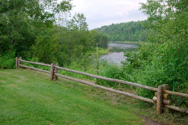 Herbe verte rivière paysage bois clôture nature campagne scène — Photo