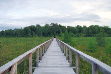 ahşap yolu köprü boardwalk yeşil bataklık peyzaj çevre