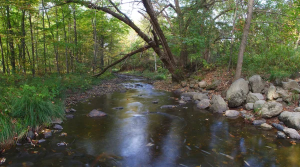 河流森林水流溪自然环境全景 — 图库照片