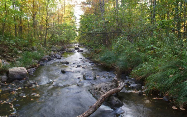 Río bosque agua flujo arroyo naturaleza entorno panorámico — Foto de Stock