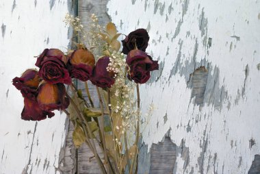 Üzgün, ölü güller kaybolmuş çiçekler eski anılar solmuş romantizm