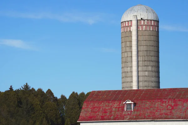 Ferme Grange Toit Silo Agriculture Construction Agriculture Rurale — Photo