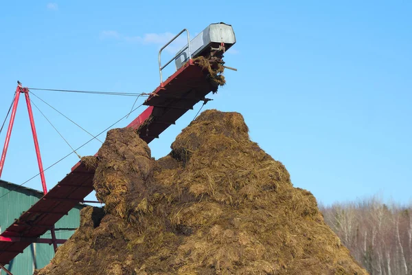 Horse Manure Compost Pile Garden Natural Fertilisation Heap Farming — Stock Photo, Image