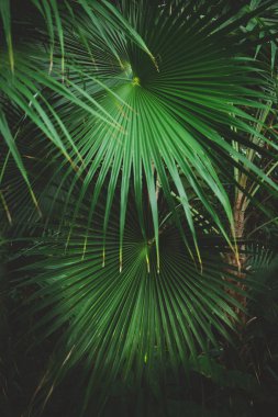 Eastland Alışveriş Merkezi Berlin