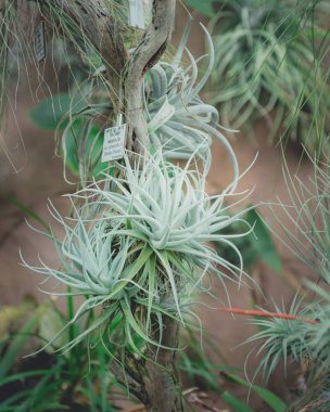 Eastland Alışveriş Merkezi Berlin