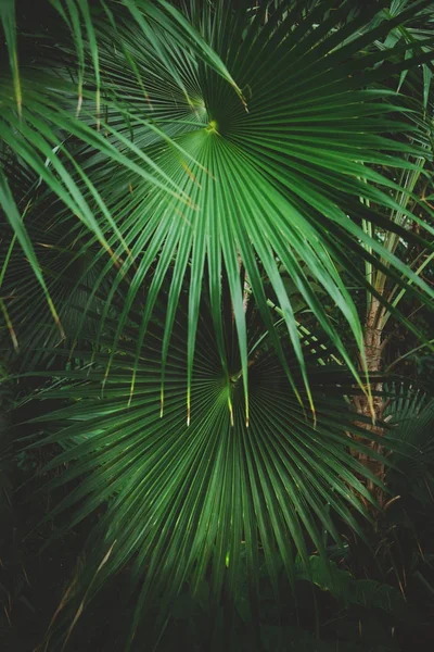 Eastland Alışveriş Merkezi Berlin