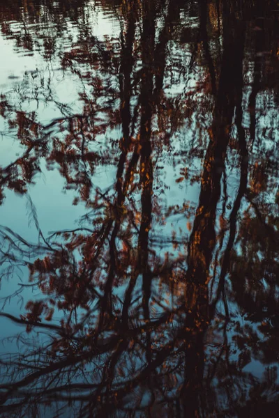 Zlatá Podzimní Listí Louži Strom Reflexe — Stock fotografie