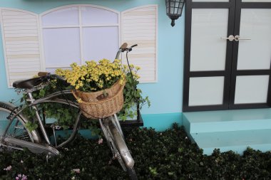 güneşli güzel bahar bahçe