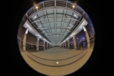 Hong Kong orta ayağın