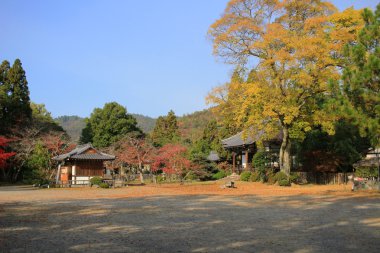 Sonbahar sezonu kyoto, daikakuji