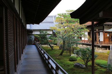 Daikaku-ji, kyoto Japonya sonbahar sezon