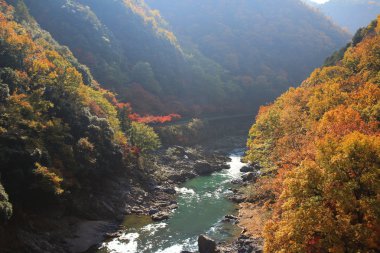  Katsura nehirde sonbahar sırasında Japonya 