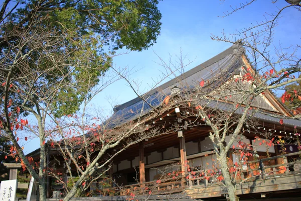 京都秋のシーズン大覚寺 — ストック写真