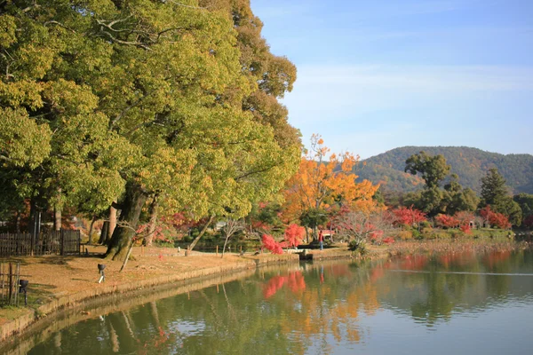 Daikaku-ji, Kyoto Japani syyskausi — kuvapankkivalokuva