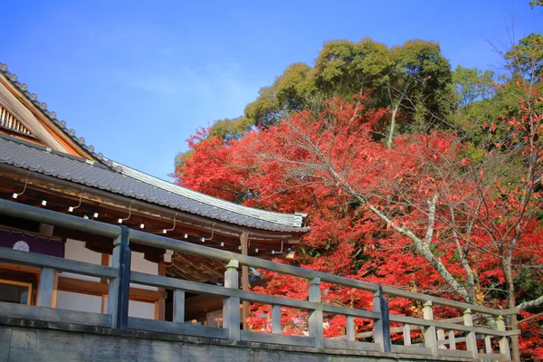 Daikaku-ji, temporada de outono de kyoto japão — Fotografia de Stock