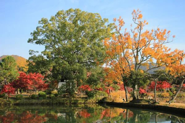 Garten von daikaku-ji, Kyoto — Stockfoto