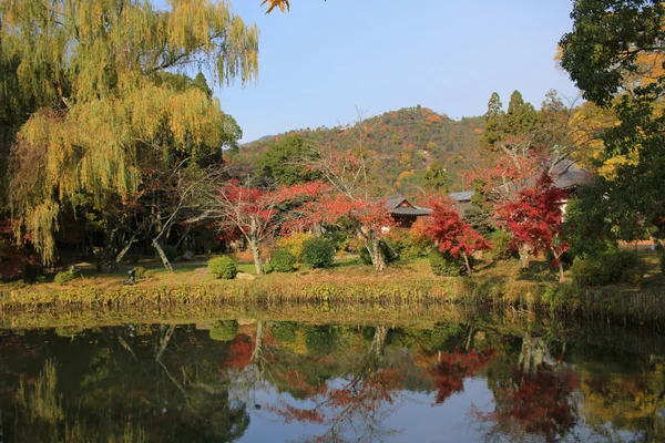 在秋天的季节京都 daikakuji — 图库照片