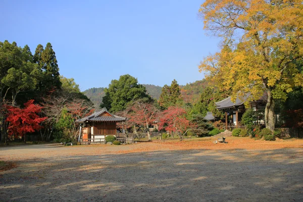在秋天的季节京都 daikakuji — 图库照片