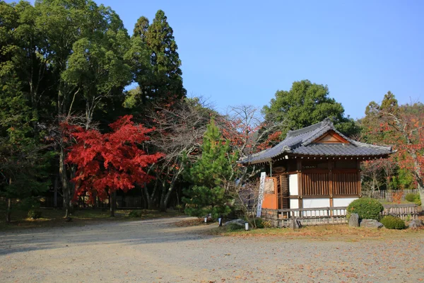 Даікакудзі в осінньому сезоні Кіото — стокове фото