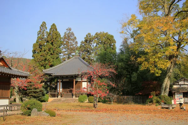 Daikakuji em kyoto de estação de outono — Fotografia de Stock