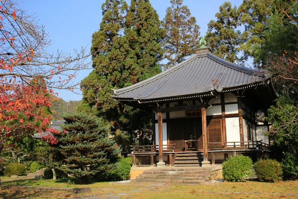 Daikakuji em kyoto de estação de outono — Fotografia de Stock