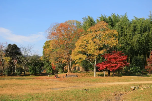 Jardín de Daikaku-ji, kyoto — Foto de Stock