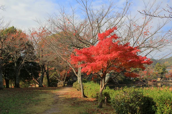 Daikakuji в осенний сезон Киото — стоковое фото