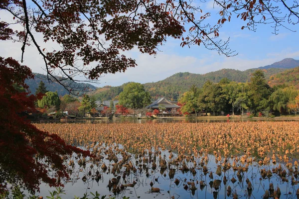 秋シーズンの京都大覚 — ストック写真