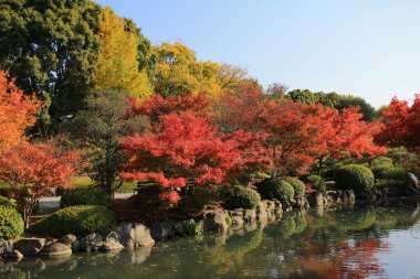 Kyoto Bahçe için-ji Tapınağı