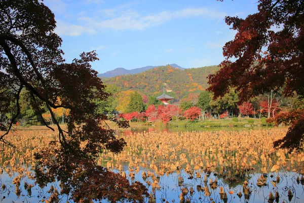 Daikakuji en la temporada de otoño kyoto — Foto de Stock