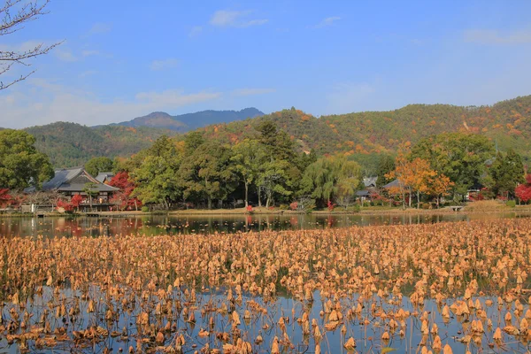 在秋天的季节京都 daikakuji — 图库照片