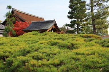 Daikaku-ji, kyoto
