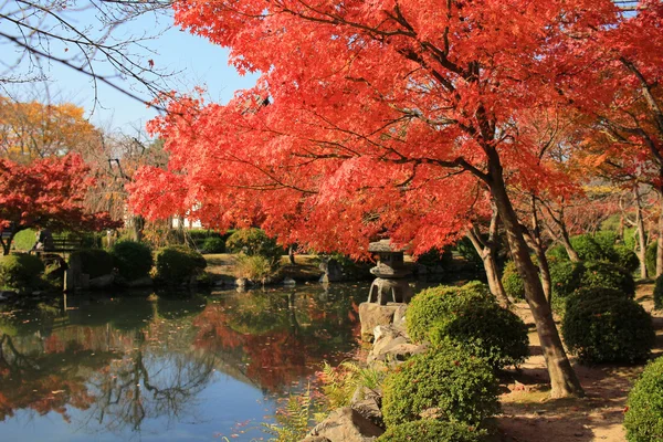 Kyoto Bahçe için-ji Tapınağı — Stok fotoğraf