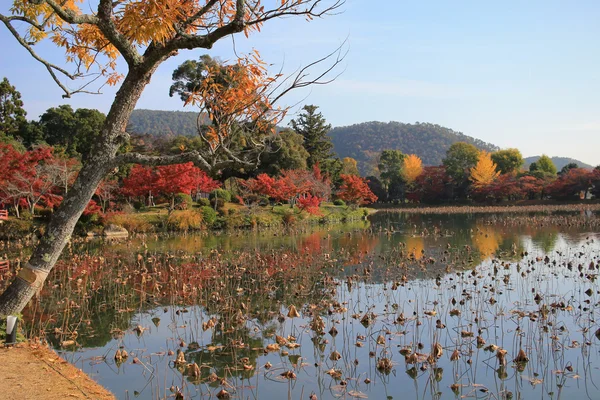 Daikakuji à la saison d'automne kyoto — Photo