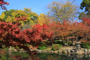 Kyoto Bahçe için-ji Tapınağı
