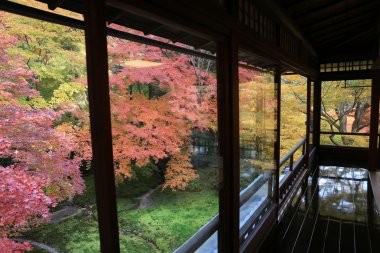 Rurikoin, tek bir pencereden görüntülendi? Zen Bahçe.