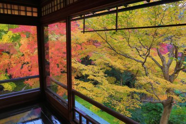 Rurikoin, tek bir pencereden görüntülendi? Zen Bahçe.