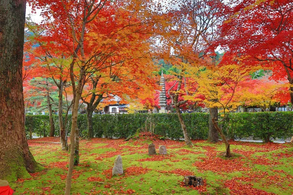 Feuilles d'automne d'Adashino Nenbutsu-ji — Photo