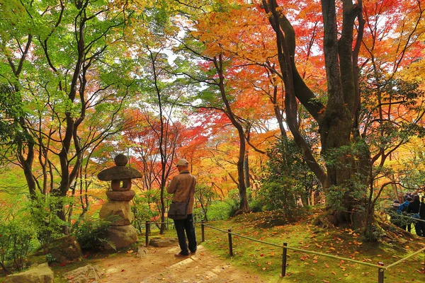 Jesienne liście, Jojakuko-ji Rozciągacz — Zdjęcie stockowe