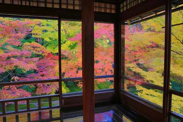 Giardino zen a Rurikoin, tutto visto attraverso una finestra . — Foto Stock