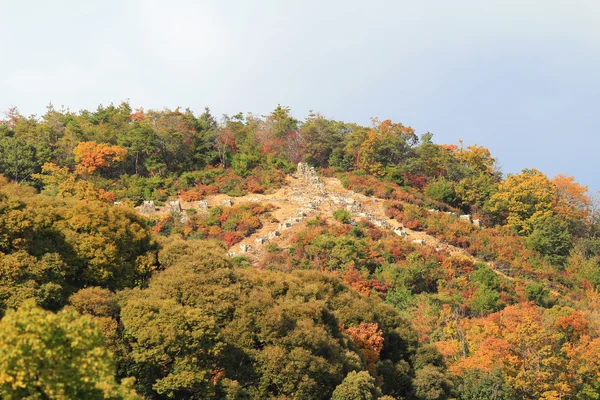 Temporada de otoño del templo budista Kinkaku-ji Zen — Foto de Stock