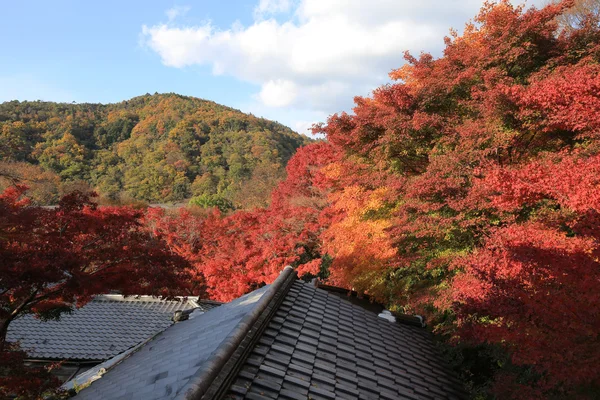 Japanese style building with autumn leaves at Rurikoin — Stock Photo, Image