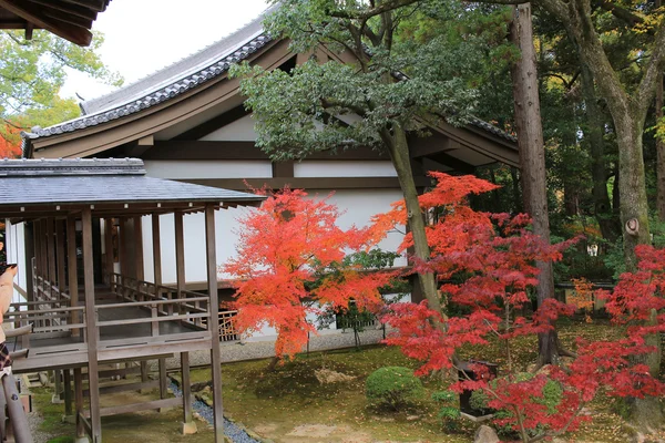 Daikaku-ji, kyoto iç — Stok fotoğraf