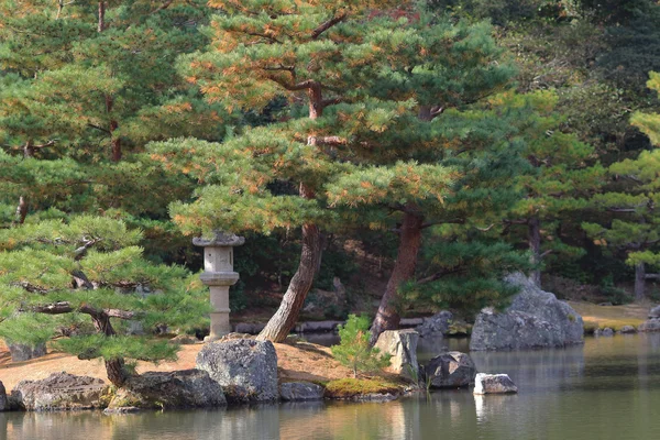 もみじ紅葉 — ストック写真