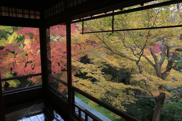 在 Rurikoin，所有通过一个窗口看禅宗花园. — 图库照片