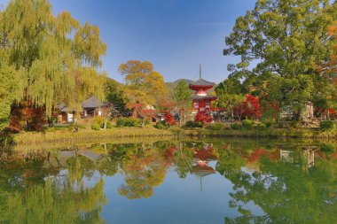Sonbahar sezonu kyoto, daikakuji