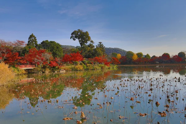 Sonbahar sezonu kyoto, daikakuji