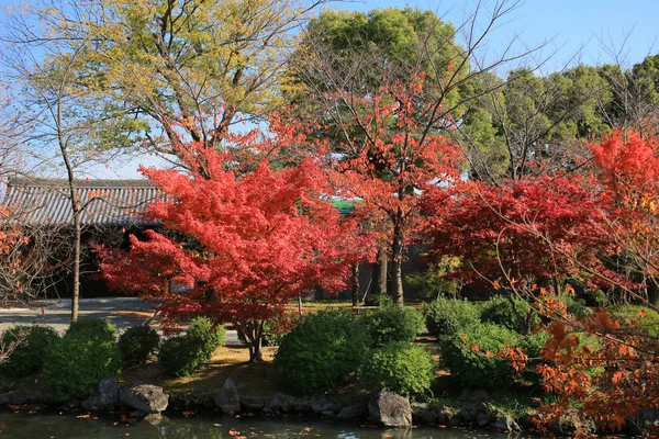 Сад Кіото-ji Temple — стокове фото