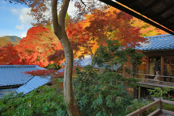 Edificio in stile giapponese con foglie autunnali a Rurikoin — Foto Stock