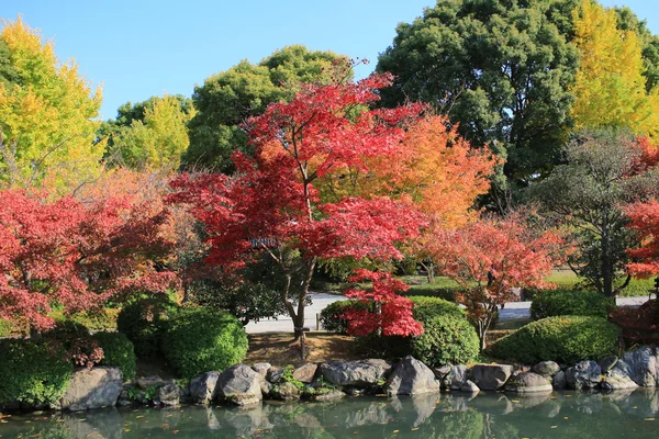 Jardín del Templo Kyoto To-ji — Foto de Stock